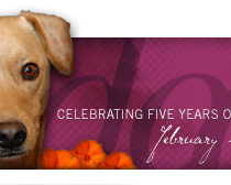 dooce.com Masthead for February 2006 by Heather B. Armstrong titled Celebrating Five Years of Pubic Stupidity