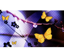 dooce.com Masthead for March 2007 by Heather B. Armstrong titled The Cutting Edge of Mediocrity