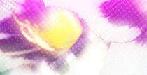 dooce.com Masthead for August, 2011 by Heather B. Armstrong titled The most monumental thing ever