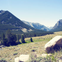 07_05_2012-dp