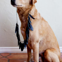 chuck's lookbook
