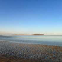 Crane Beach
