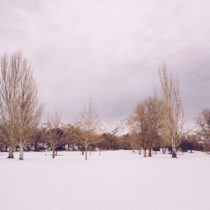 hues of january