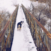 like a bridge