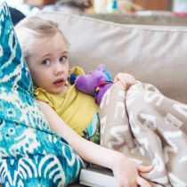 attack of the little sister