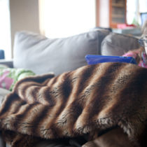 sickday_featured