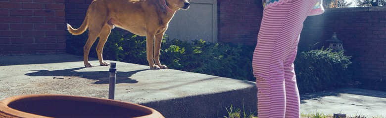 two puppies in the yard