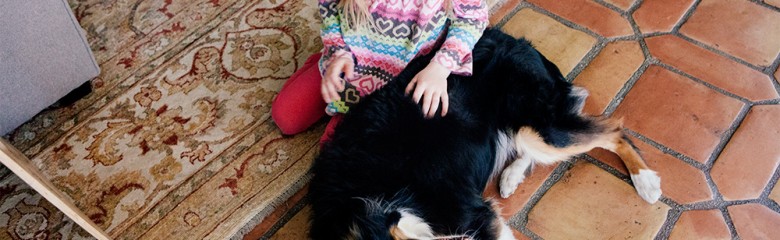 a girl and her dog