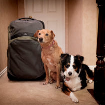 take us with you