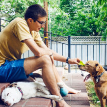 the dog whisperer