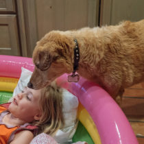 water dogs