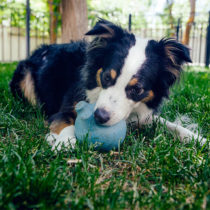 my beautiful destroyer