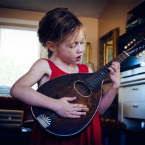 mandolin