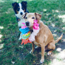 playing favorites