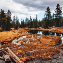 landscapes14_features