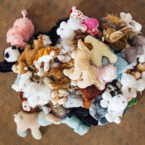 webkinz