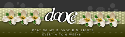 dooce.com Masthead for January 8, 2002 by Heather B. Armstrong titled Updating my Blonde Highlights Every 4 to 8 Weeks