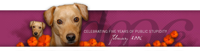 dooce.com Masthead for February 2006 by Heather B. Armstrong titled Celebrating Five Years of Pubic Stupidity
