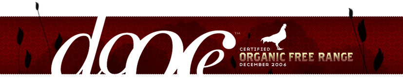 dooce.com Masthead for December, 2006 by Heather B. Armstrong titled Certified Organic Free Range