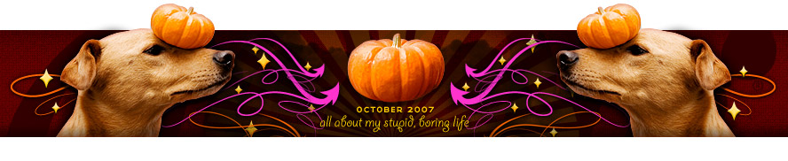 dooce.com Masthead for October 2007