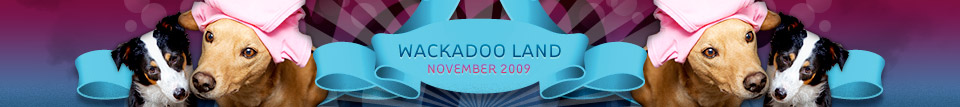 dooce.com Masthead for November, 2009 by Heather B. Armstrong titled Wackadoo Land