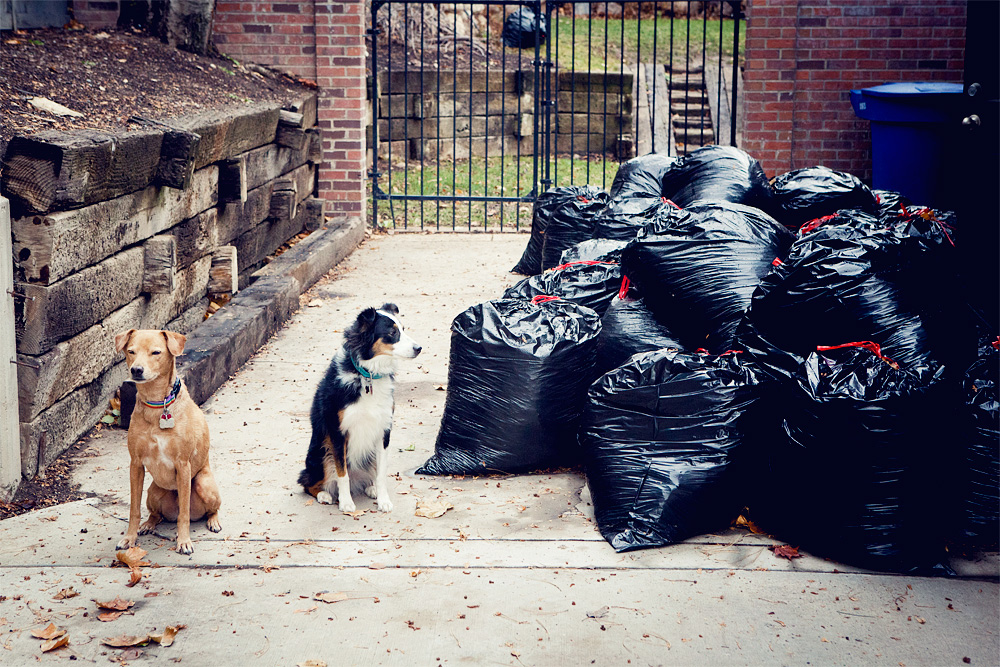 photo of Chuck and Coco by Heather B. Armstrong for dooce.com