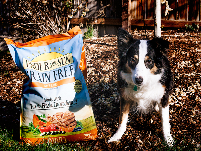 Canidae coupons